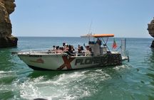 Caves in the Algarve and Dolphin-Watching Boat Tour from Albufeira