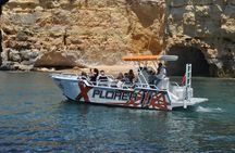 Caves in the Algarve and Dolphin-Watching Boat Tour from Albufeira