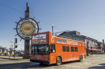 Bay Cruise and Hop-On Hop-Off Bus Tour of San Francisco
