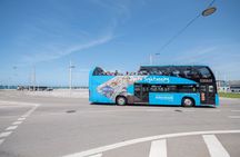 Porto 24-hour hop-on hop-off bus tour