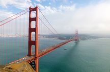 Muir Woods and Sausalito guided tour from San Francisco