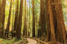 Muir Woods and Sausalito guided tour from San Francisco