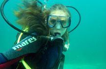 Scuba diving trip from Santa Pola
