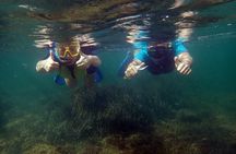 Tabarca Island snorkeling trip from Santa Pola