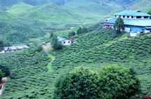 Private Cameron Highlands Nature tour