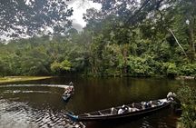 Taman Negara jungle tour