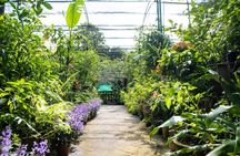 KL bird park, butterfly park and garden tour
