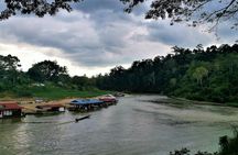 Taman Negara jungle tour