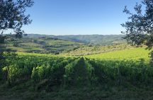 Small-group hike and wine tasting in Chianti with lunch