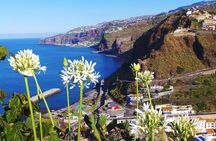 Porto Moniz, Fanal and Cabo Cabo Girão full-day tour from Funchal