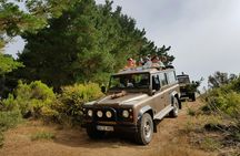 Porto Moniz, Fanal and Cabo Cabo Girão full-day tour from Funchal