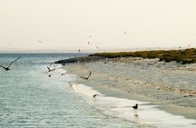 Hamata Snorkeling Cruise from Marsa Alam with Lunch and Drinks
