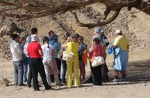 Super safari in a 4x4 plus quad bike and camel ride in Marsa Alam