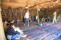 Super 4x4 safari with sand buggies and camel ride in Marsa Alam