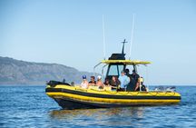 Private boat charter in North shore Oahu