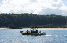 1.5-hour guided marine life boat tour in Oahu