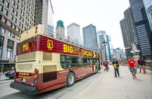 Big Bus tour of Chicago