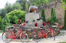 Wine Tour to Milesti Mici Winery with Tasting
