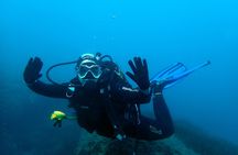 Scuba diving trip from Santa Pola