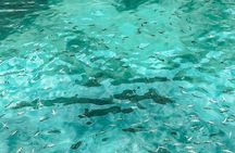 Krabi Islands private tour