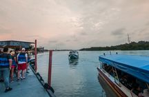 Guided tour of Kuala Lumpur with Batu Caves and fireflies village
