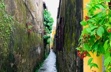 Guided tour to My Son Sanctuary and Hoi An old town from Da Nang Port