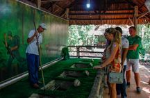 Cu Chi tunnels full-day shore excursion from Ho Chi Minh port