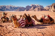 Wadi Rum private tour from Petra with Martian and Star Wars film sites