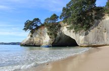 Tour of the Coromandel