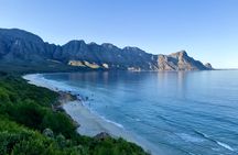 6-day Garden Route and Addo Elephant National Park from Cape Town