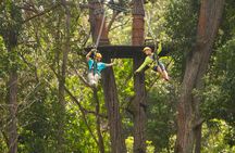 Kohala zipline canopy adventure