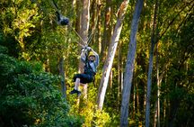 Kohala zip and dip