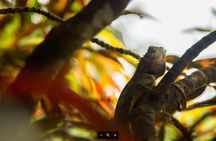 Discover Cuc Phuong National Park full-day tour from Ha Noi
