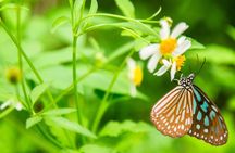 Discover Cuc Phuong National Park full-day tour from Ha Noi