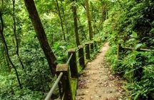 Discover Cuc Phuong National Park full-day tour from Ha Noi