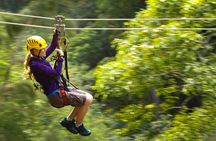 Kohala zip and dip