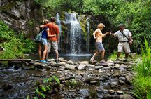 Kohala zip and dip