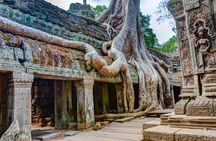 Private full-day Angkor Temple Complex tour with sunrise
