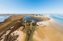 Ria Formosa cycling tour from Faro