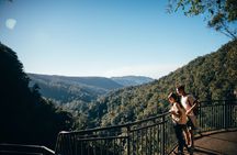 Natural Bridge and Springbrook tour
