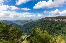 Natural Bridge and Springbrook tour