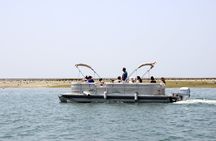 Ria Formosa birdwatching boat tour