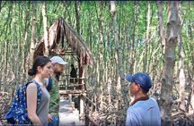 Can Gio and Monkey Island tour with lunch