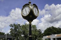 Discover Orlando half-day city tour