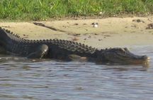 Boggy creek airboat ride Florida