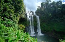 Tad Fane waterfall and Bolaven Plateau coffee full-day from Pakse