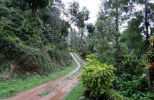 Tad Fane waterfall and Bolaven Plateau coffee full-day from Pakse