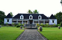 Bois Cheri tea tour