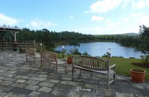 Bois Cheri tea tour
