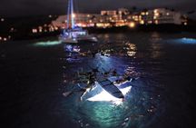 Late night manta ray snorkel experience
